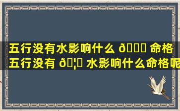 五行没有水影响什么 🐕 命格「五行没有 🦁 水影响什么命格呢」